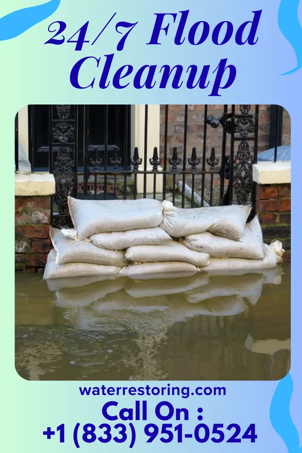 24/7 Flood Cleanup in Escobares, TX