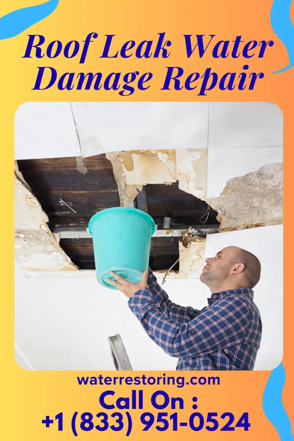 Roof Leak Water Damage Repair in Escobares, TX